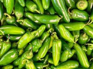 jalapeno salmonella recall