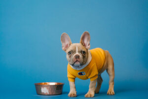 Canine Chicken Recipe Recall