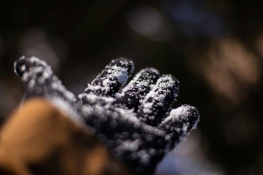 Hand Warmer Recall